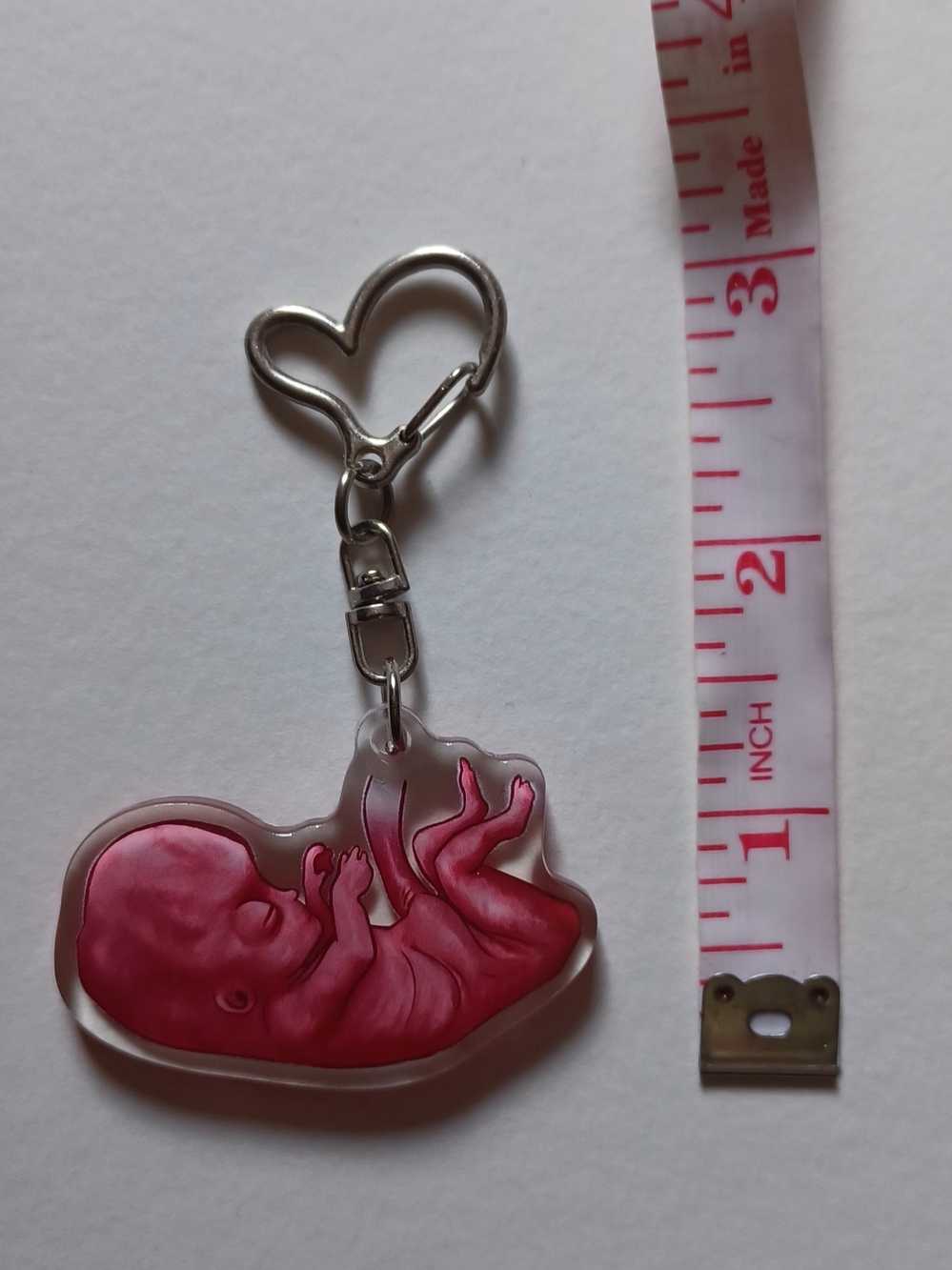 Double-sided Acrylic Fetus Keychain With Heart Clasp - Picture 2 of 5